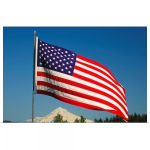 US FLAG PICTURE